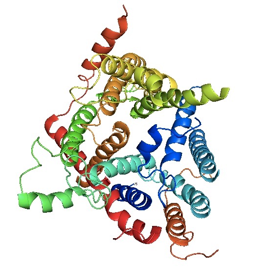 Bioquímica 3IA