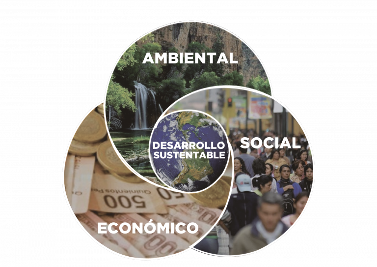 Desarrollo Sustentable IBF