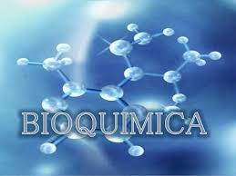 Bioquímica 3IO