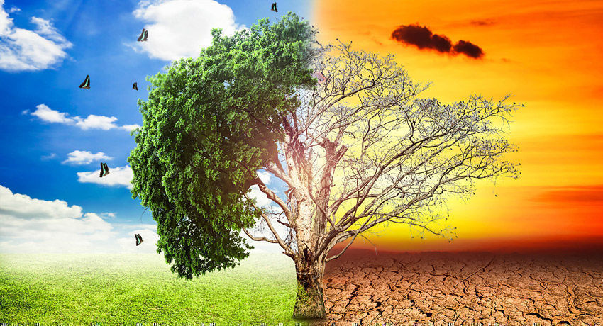 Evaluación de Impacto Ambiental 7IA